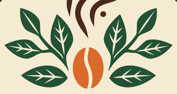 Leaves and bean
